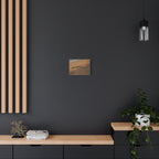 Modern interior with a dark wall, wooden shelves, and a small plant.