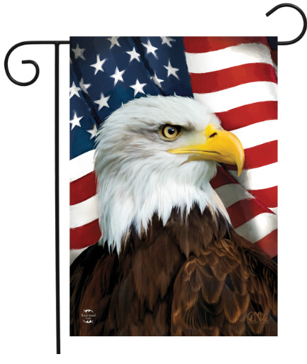 Flag with a bald eagle and American flag design