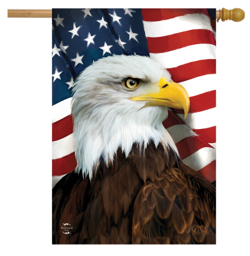 Flag with a bald eagle in front of an American flag