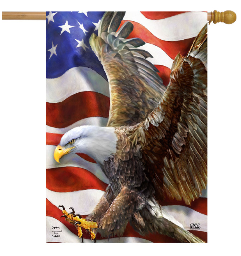 Flag with an eagle and American flag design