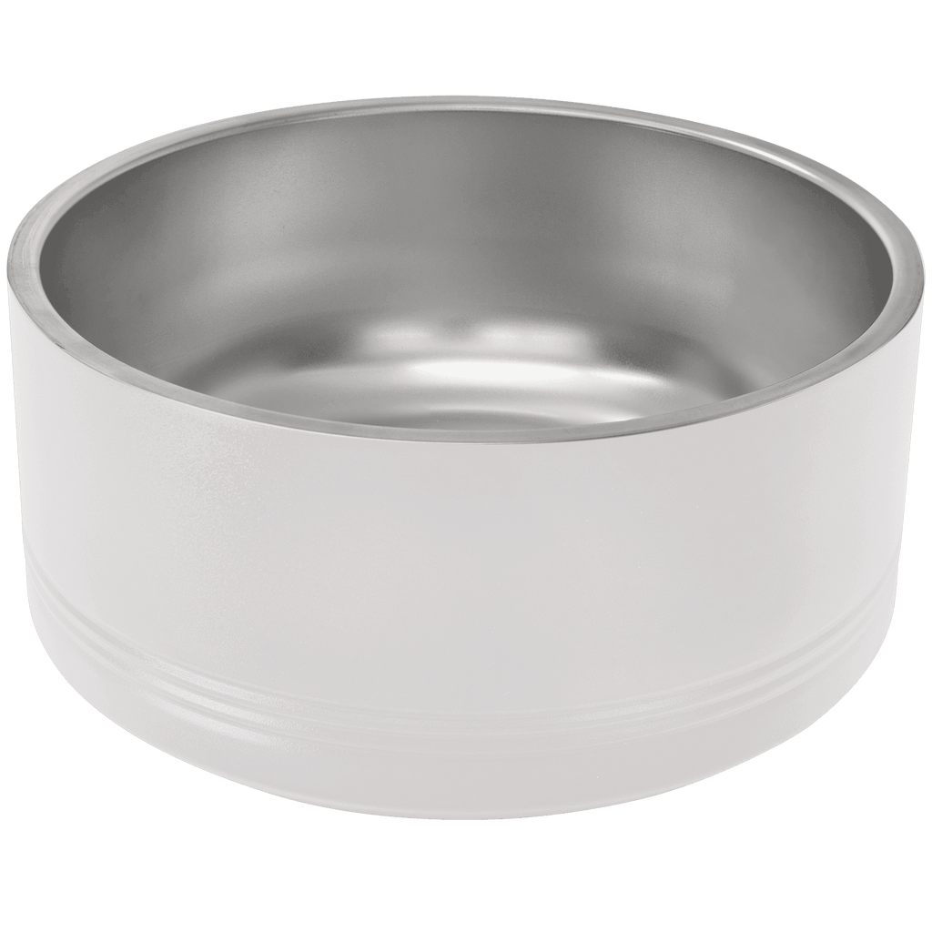 White stainless steel dog bowl on a white background
