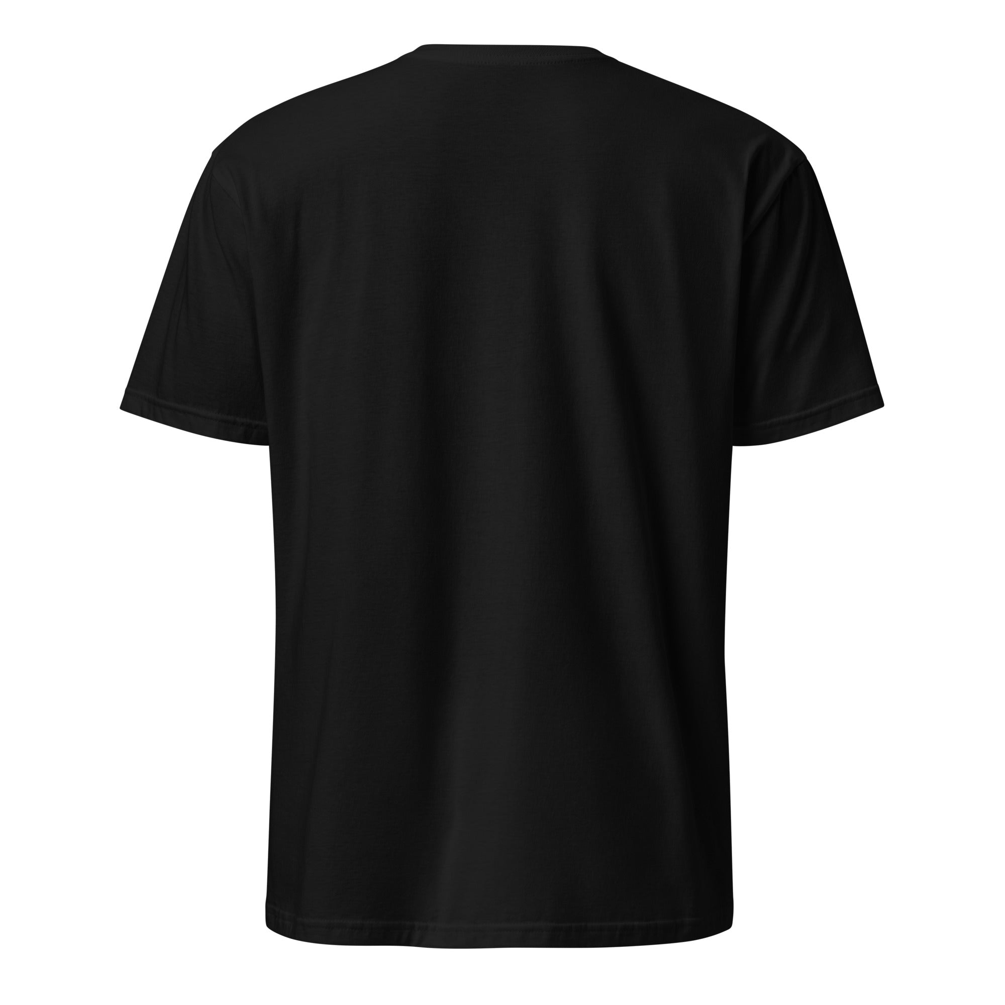 Back view of a black t-shirt against a white background