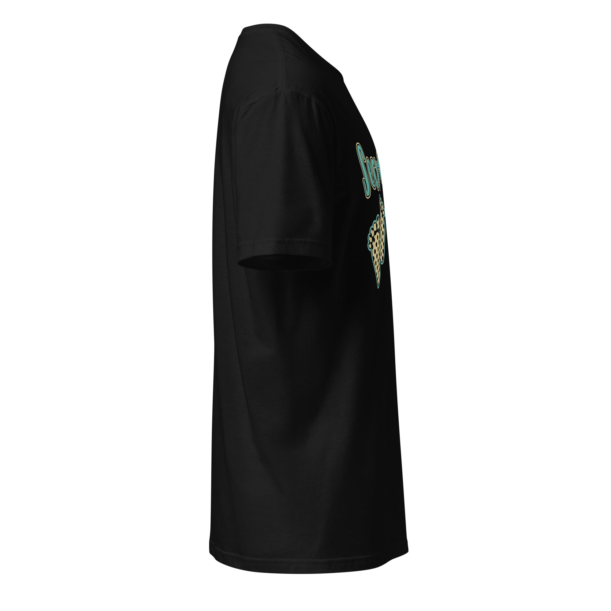 Right view of a black t-shirt against a white background