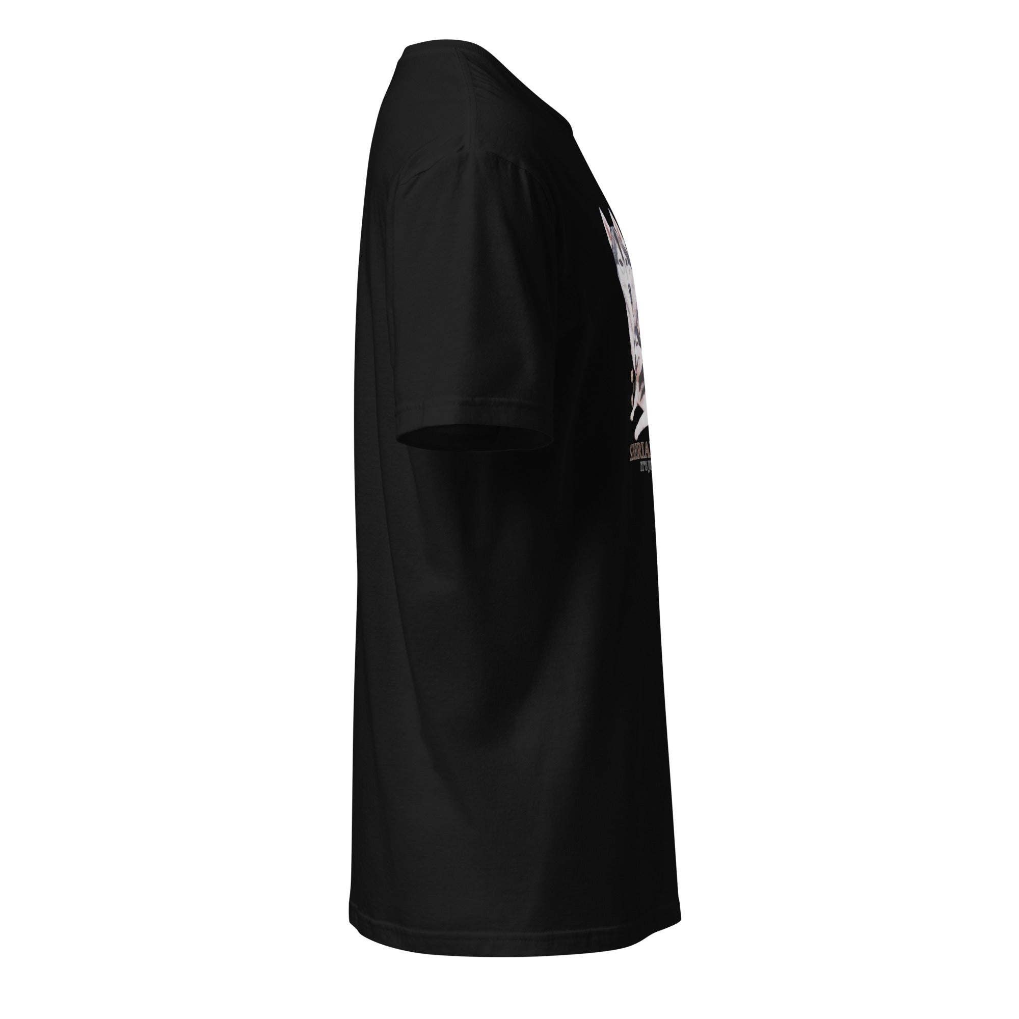 Black t-shirt right side