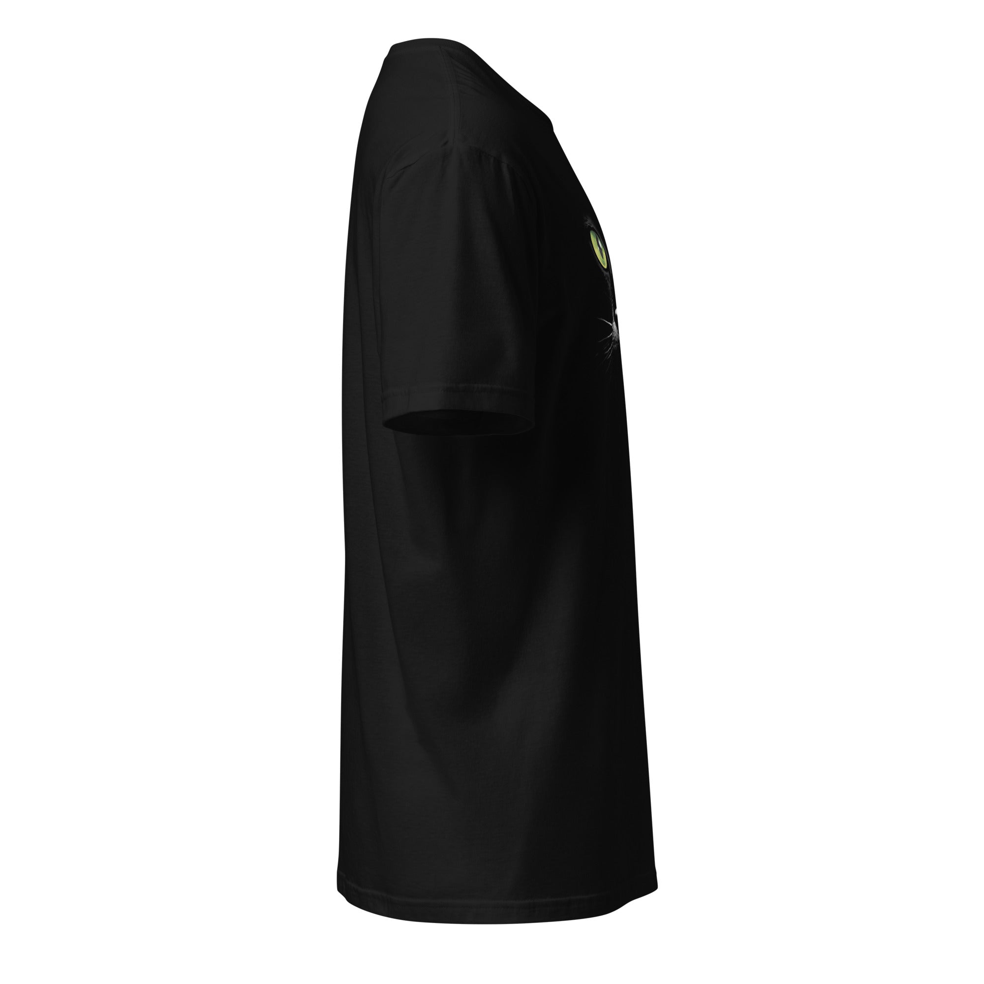 Plain Black t-shirt right side against a white background