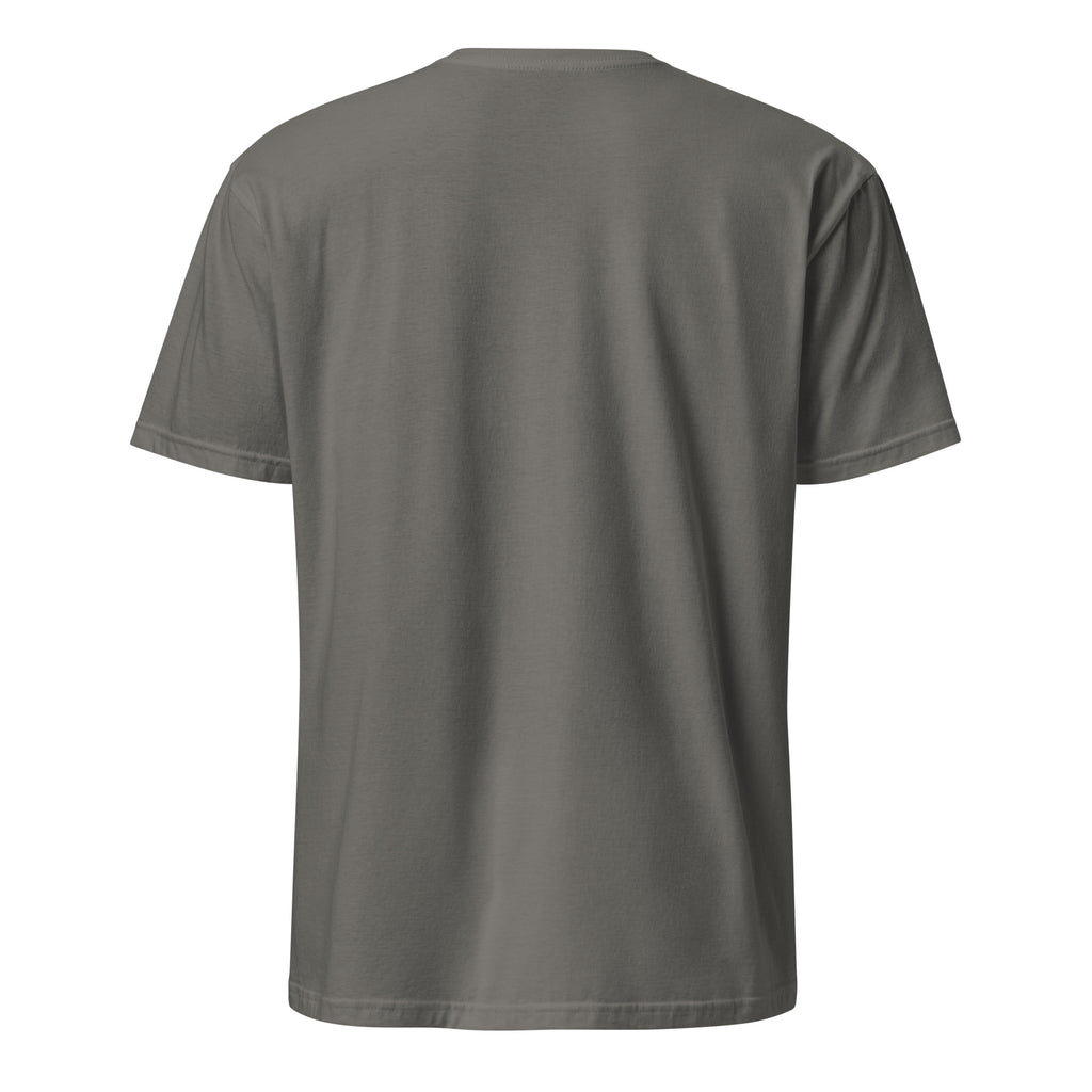 Dark Gray t-shirt on a white background