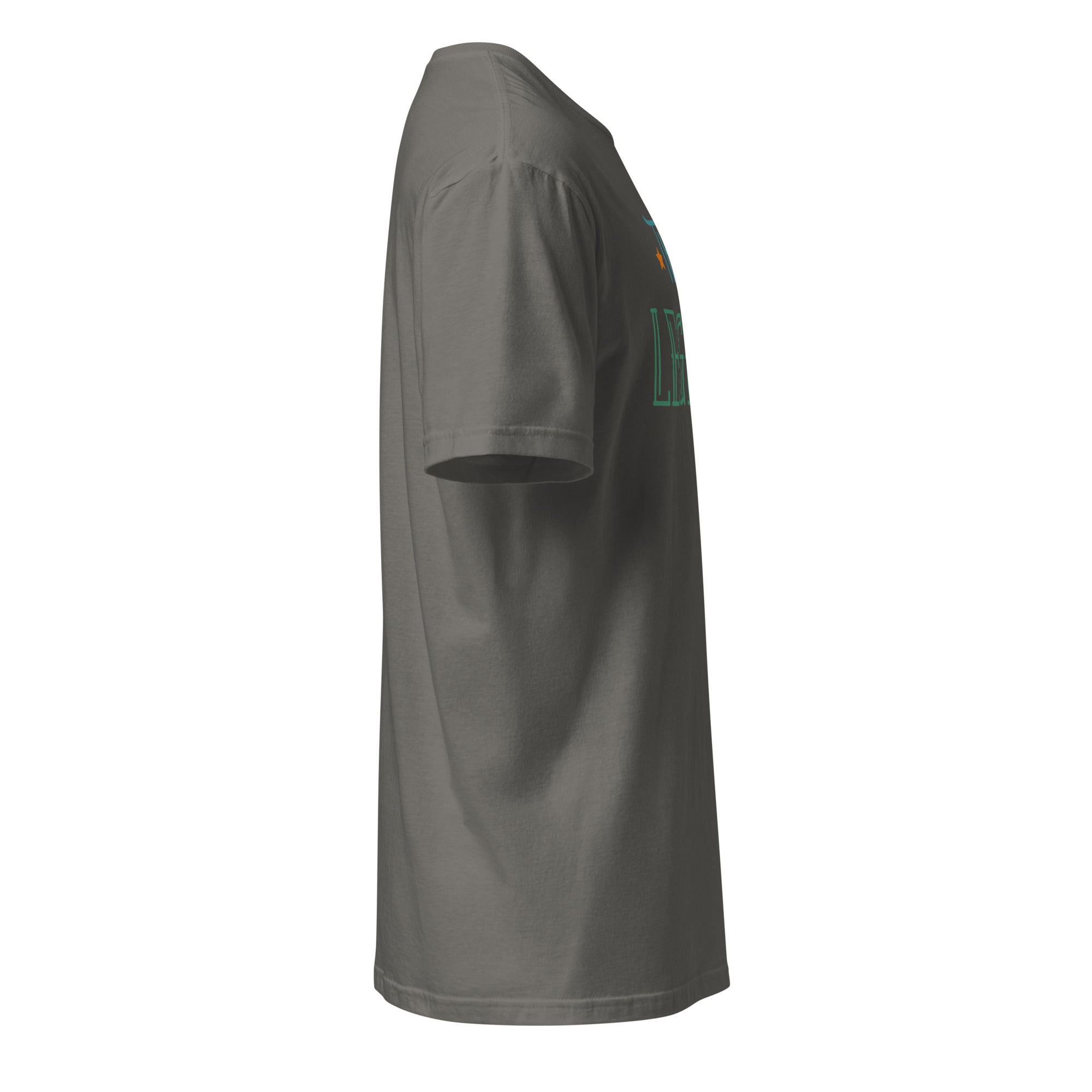 Dark Gray t-shirt right side on a white background