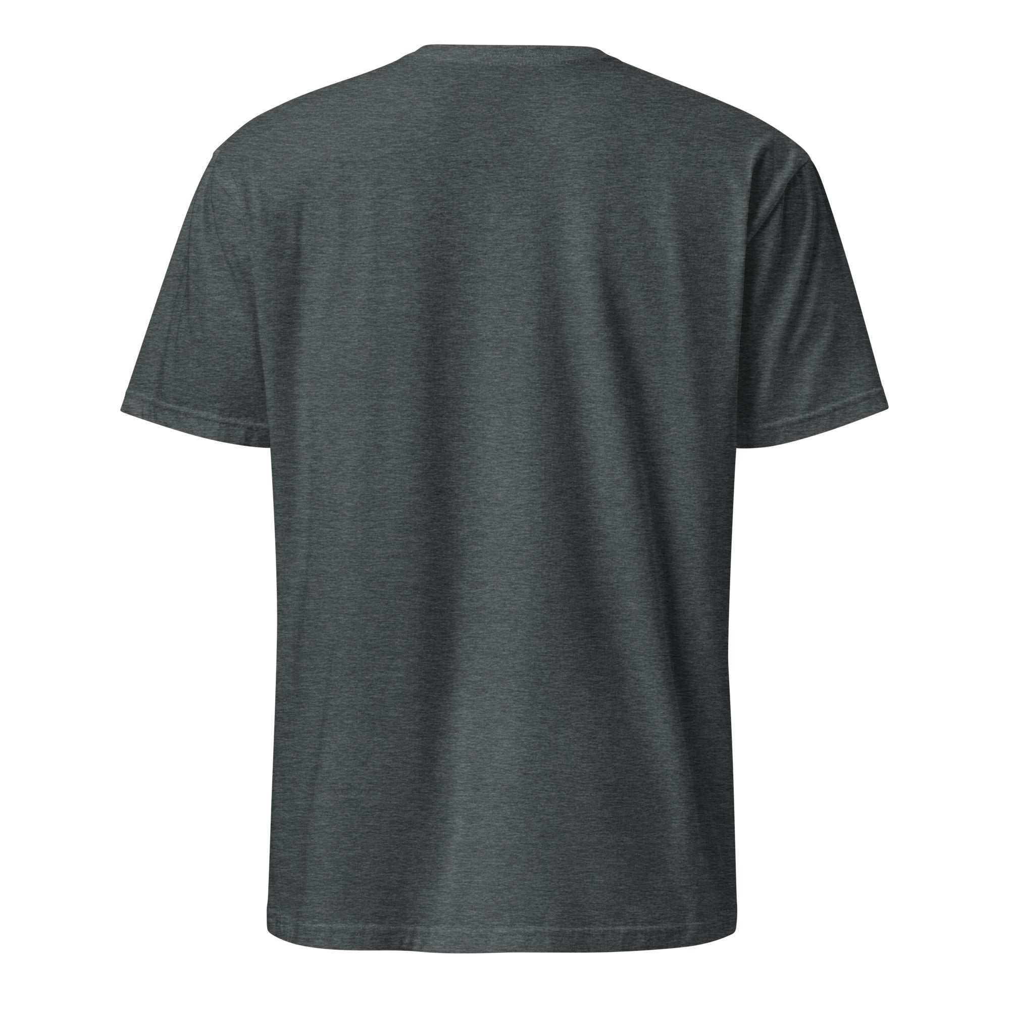 Plain dark gray t-shirt back on a white background