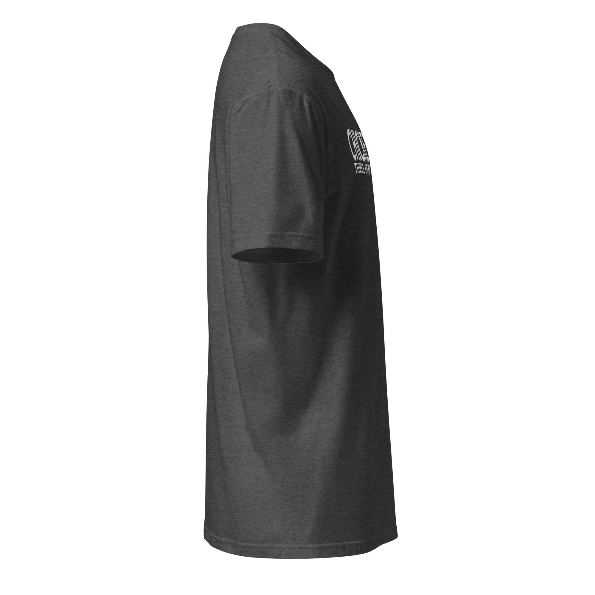 Plain Charcoal t-shirt right side on a white background