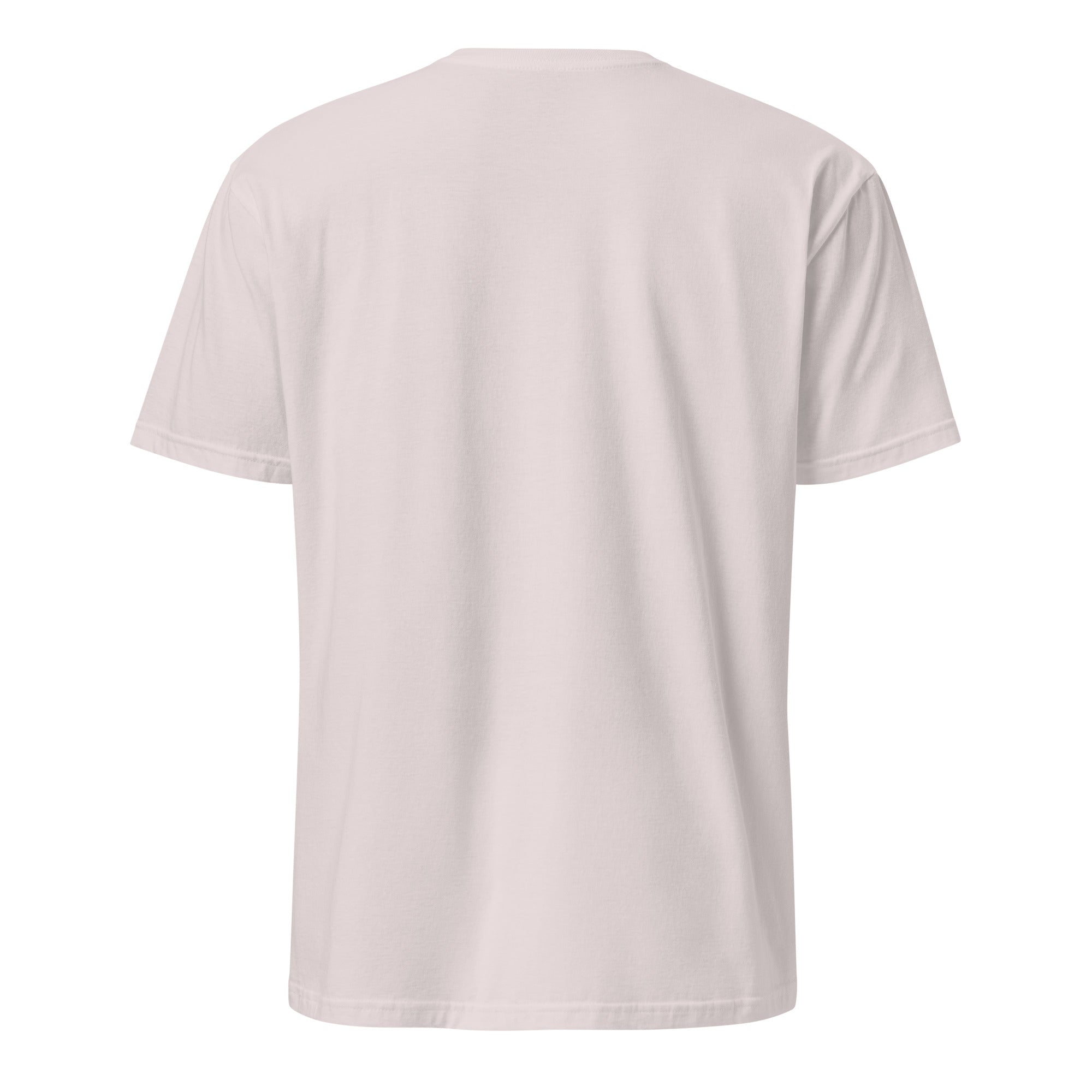 Plain white t-shirt back on a white background