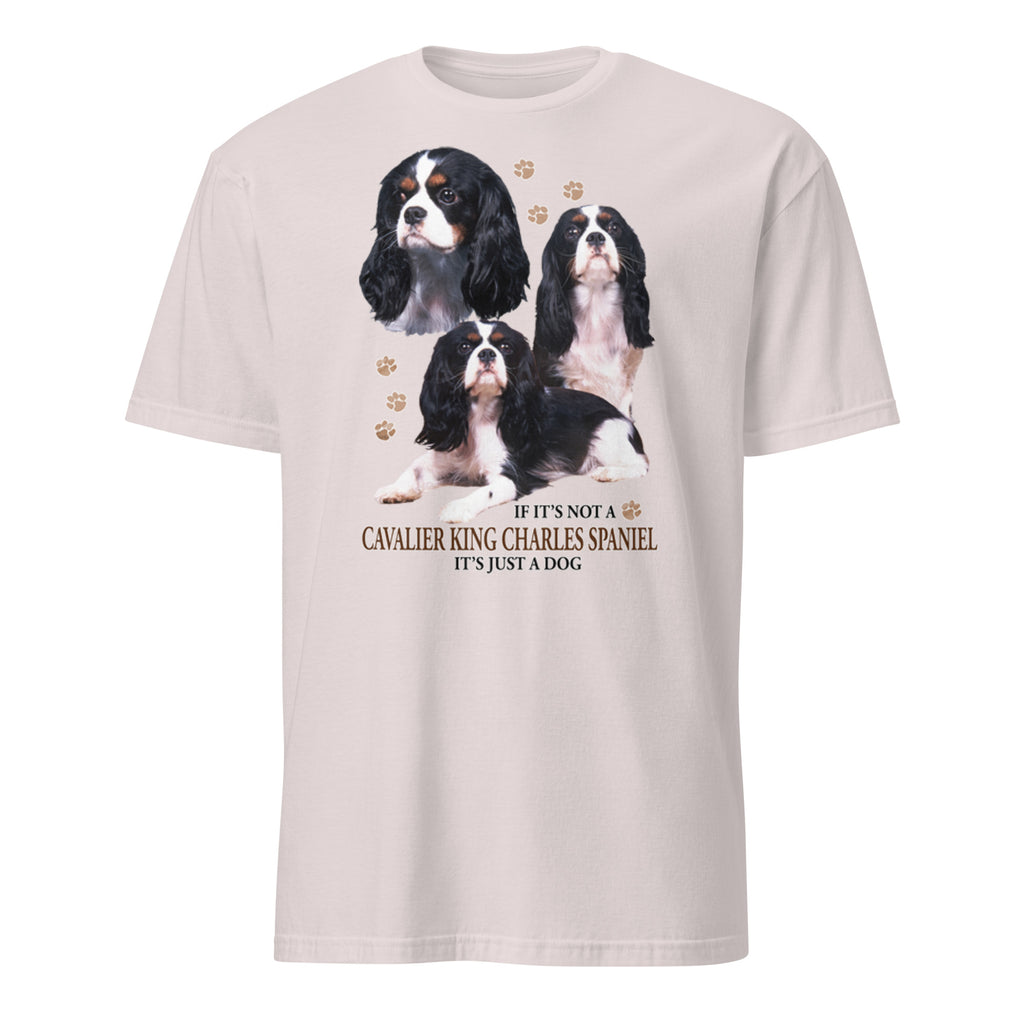 Light Grey t-shirt with Cavalier King Charles Spaniel dog illustration and If It's Not A Cavalier King Charles Spaniel It's Just A Dog T-shirt on a white background