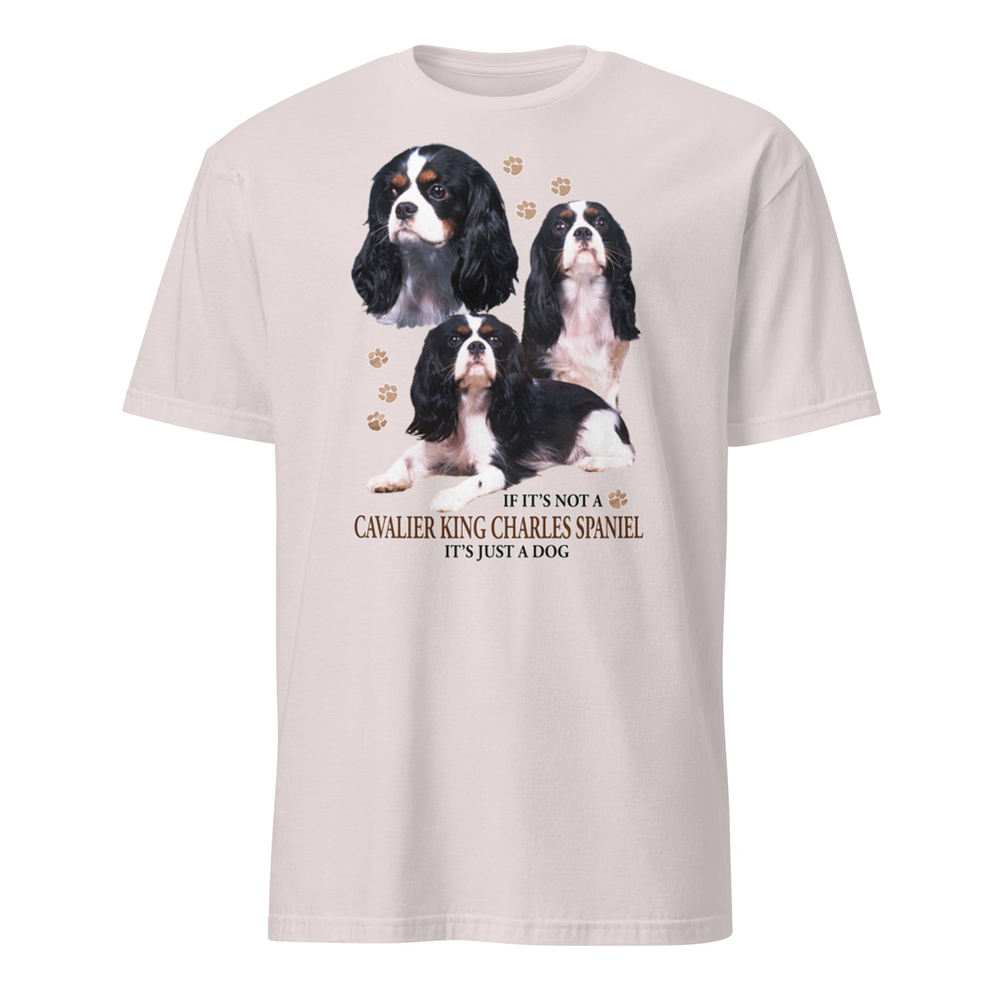Light Grey t-shirt with Cavalier King Charles Spaniel dog illustration and If It's Not A Cavalier King Charles Spaniel It's Just A Dog T-shirt on a white background