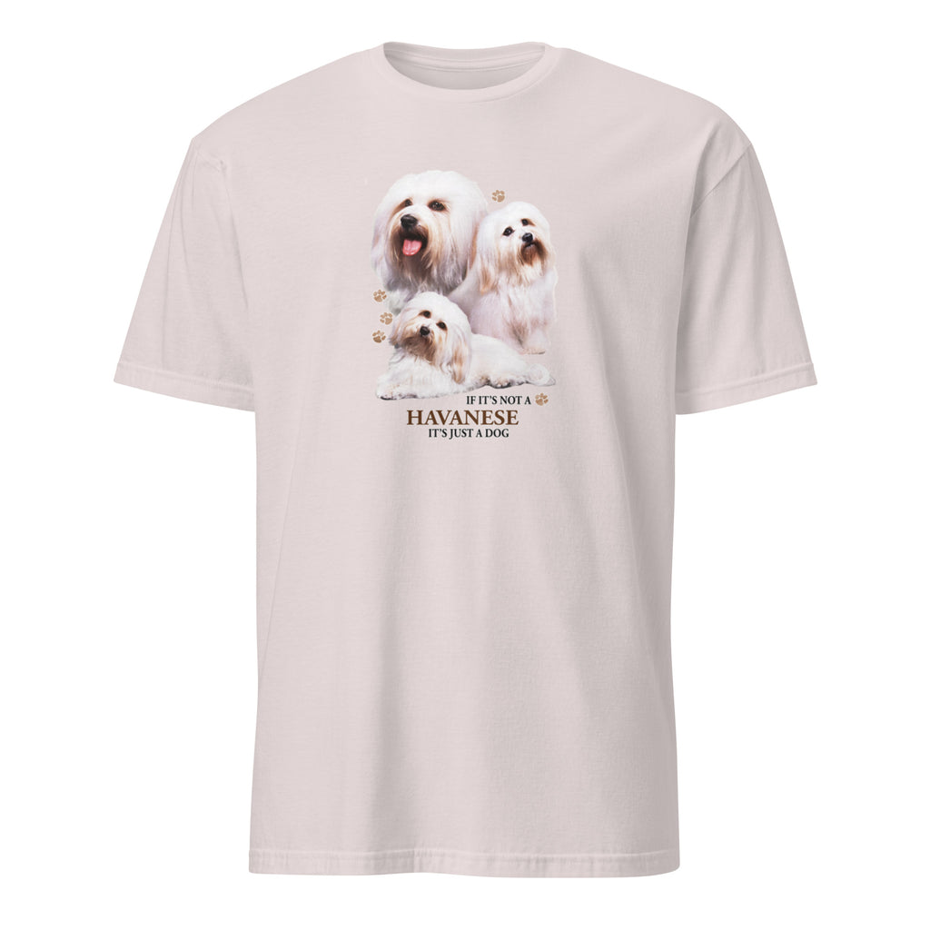 Light Grey t-shirt with Havanese dog illustration and If It's Not A Havanese It's Just A Dog T-shirt on a white background