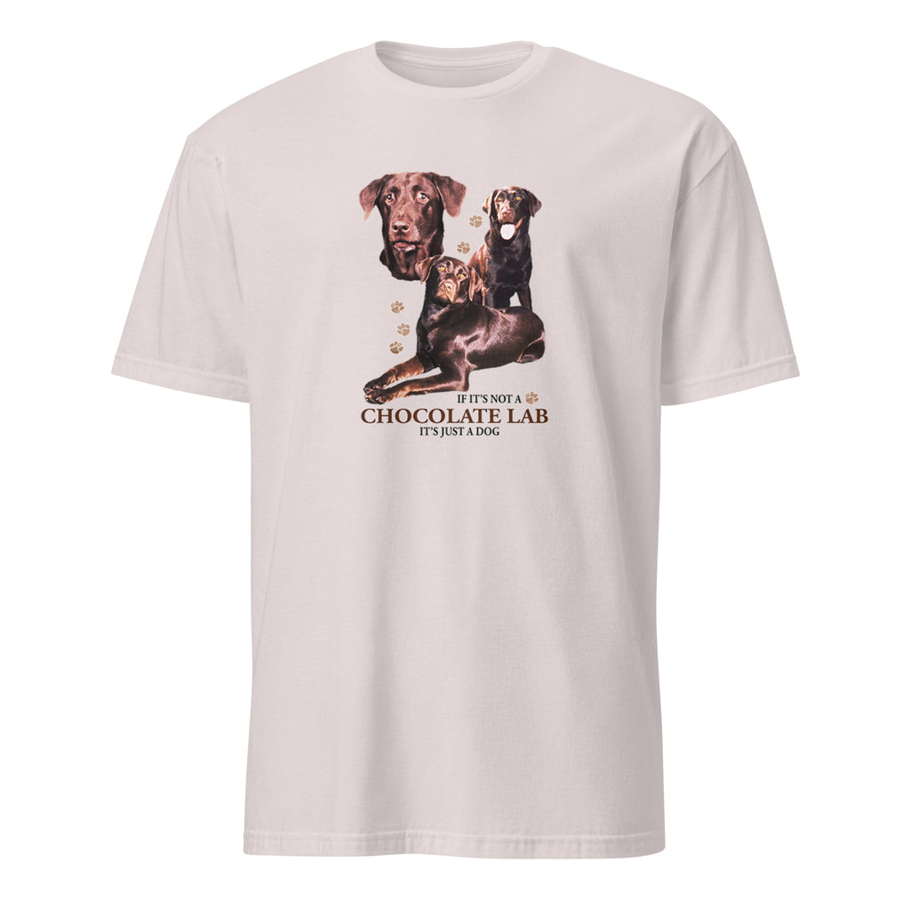 Light Grey t-shirt with Chocolate Lab graphic and If It's Not A Chocolate Lab It's Just A Dog text on a white 