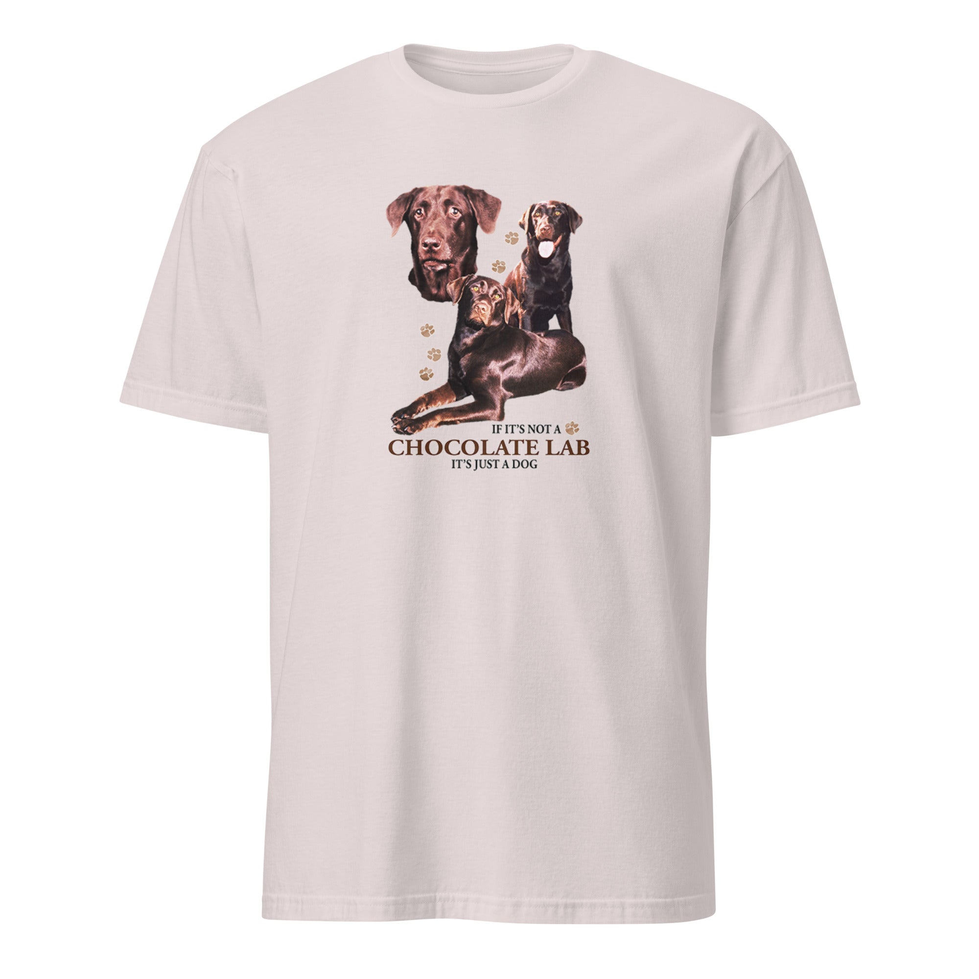 Light Grey t-shirt with Chocolate Lab graphic and If It's Not A Chocolate Lab It's Just A Dog text on a white 