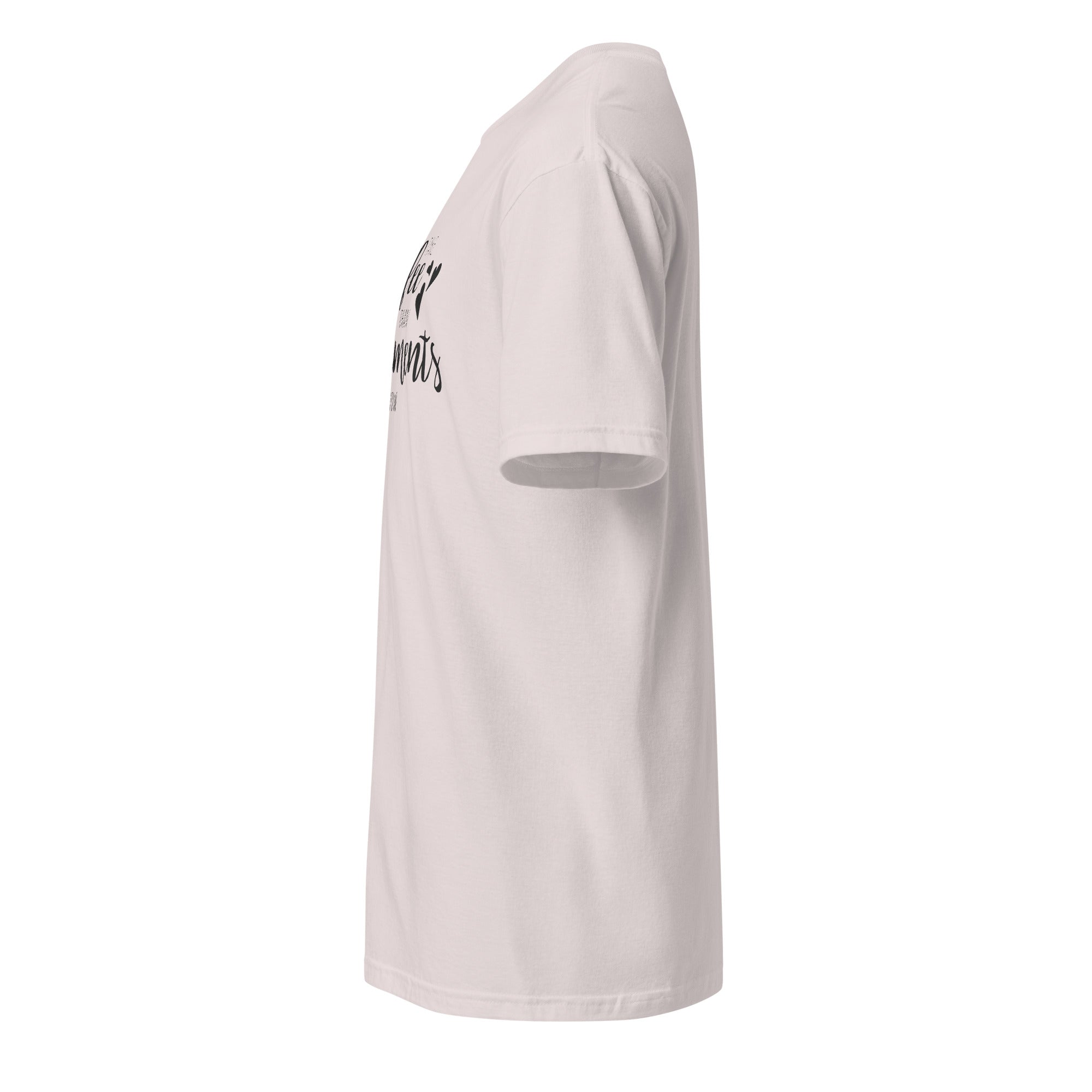 Plain Ice Grey t-shirt left side on a white background