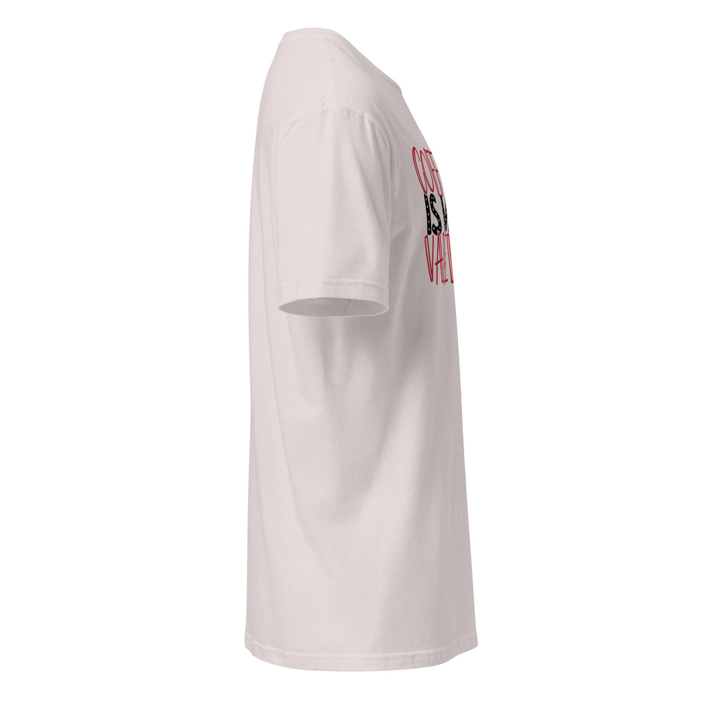 Plain Ice Grey t-shirt right side on a white background