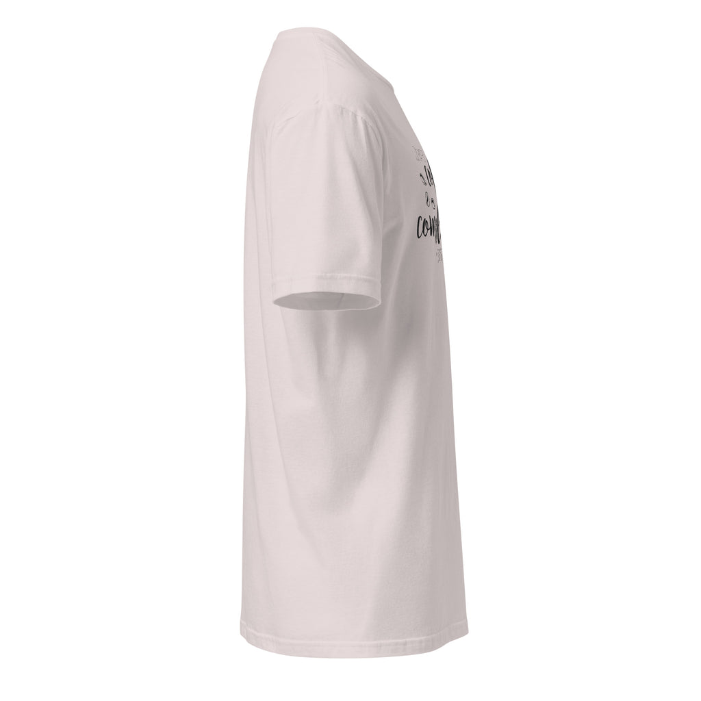 Plain Ice Grey t-shirt right side on a white background