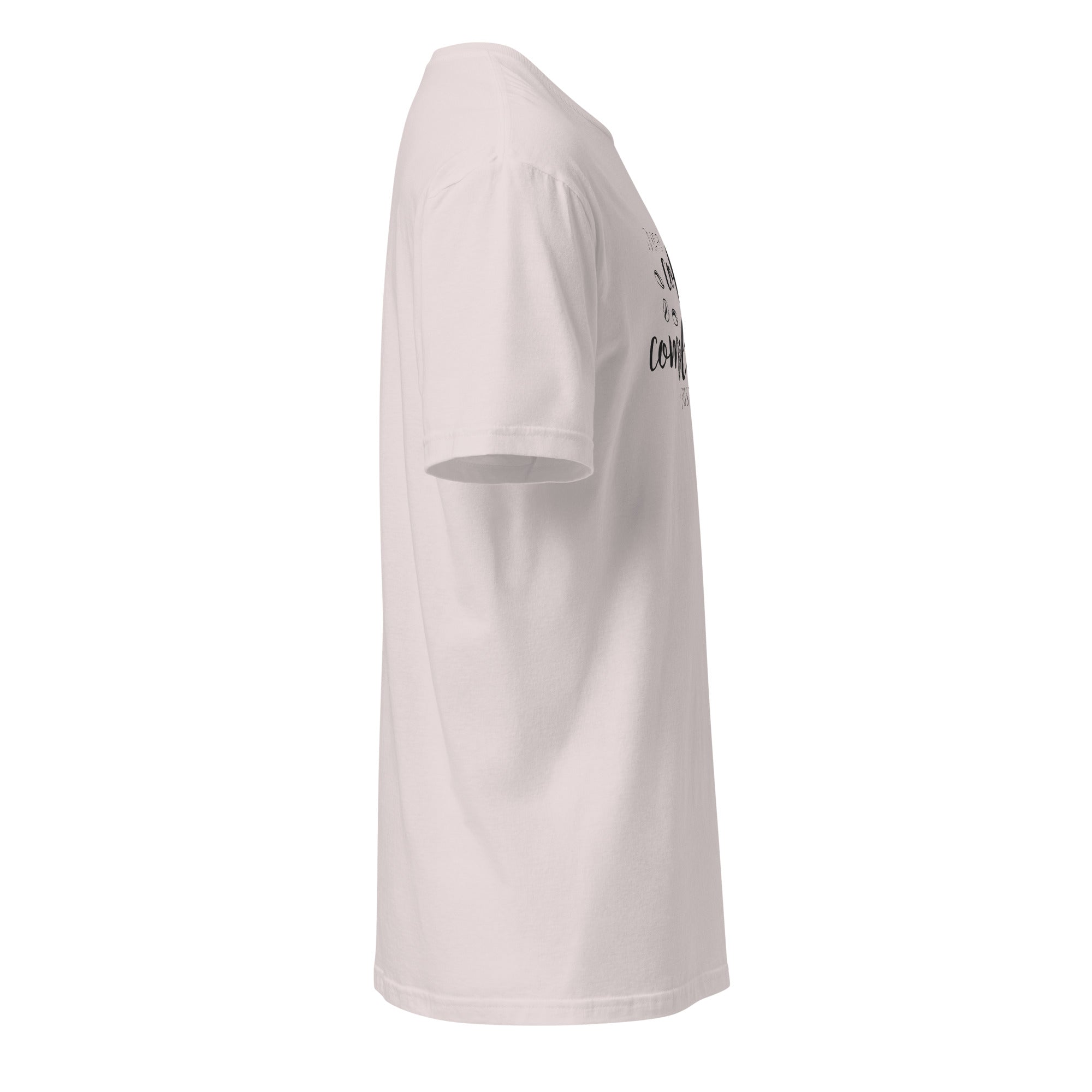 Plain Ice Grey t-shirt right side on a white background