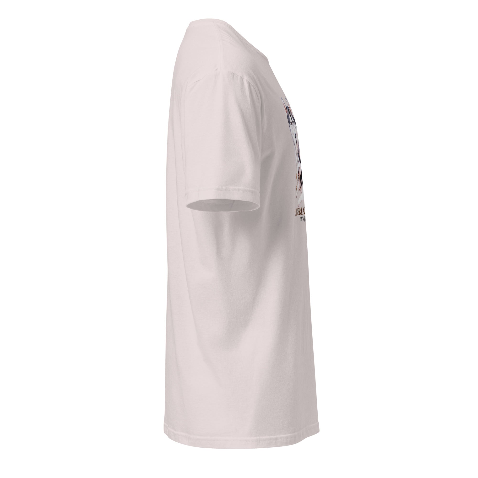 Light Grey t-shirt right side