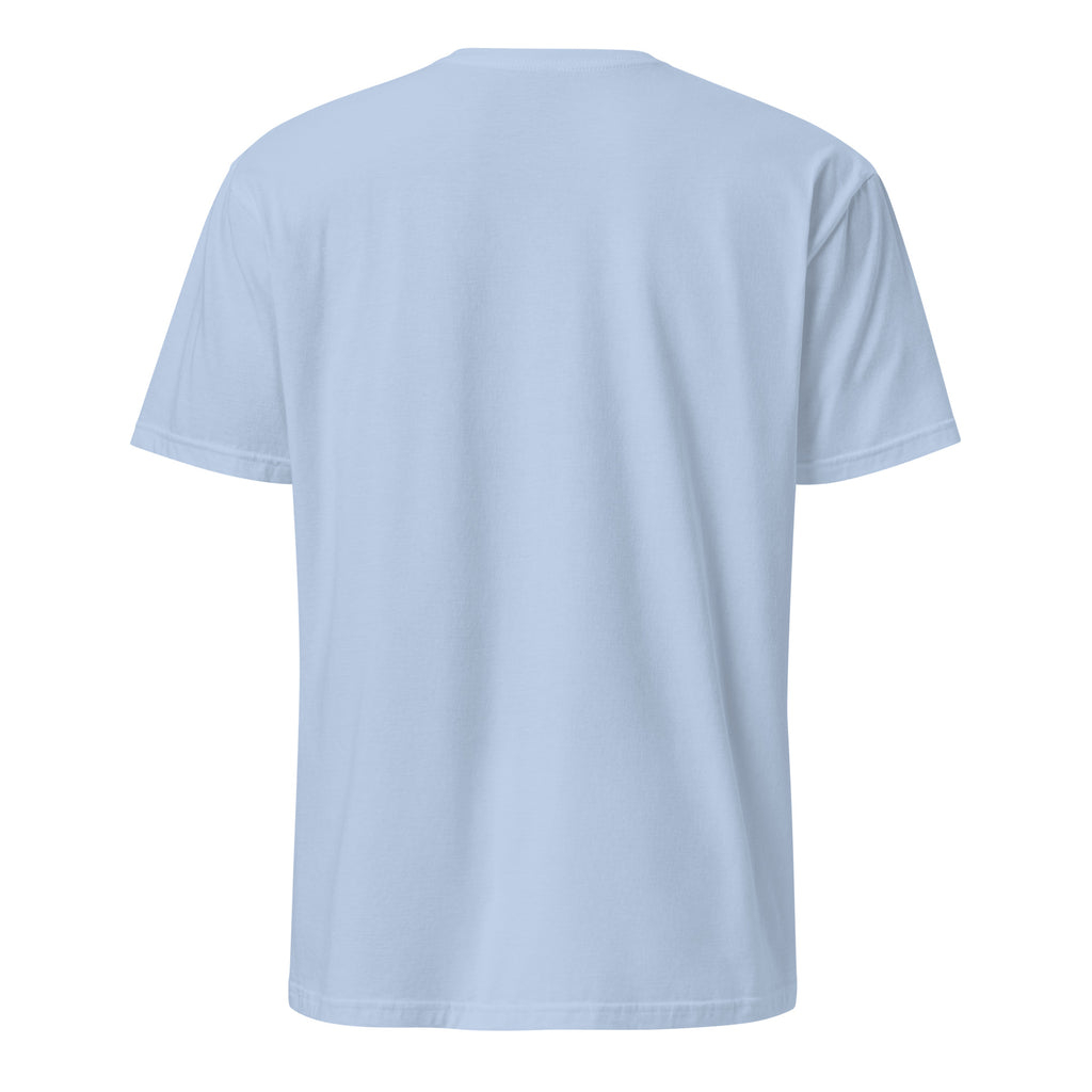 Light blue t-shirt back on a white background