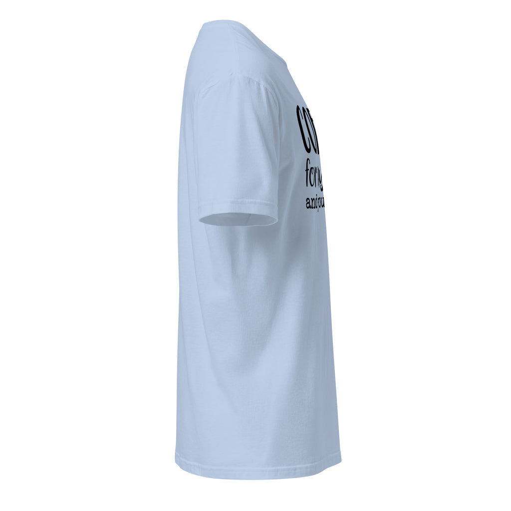 Plain Light Blue t-shirt right side on a white background