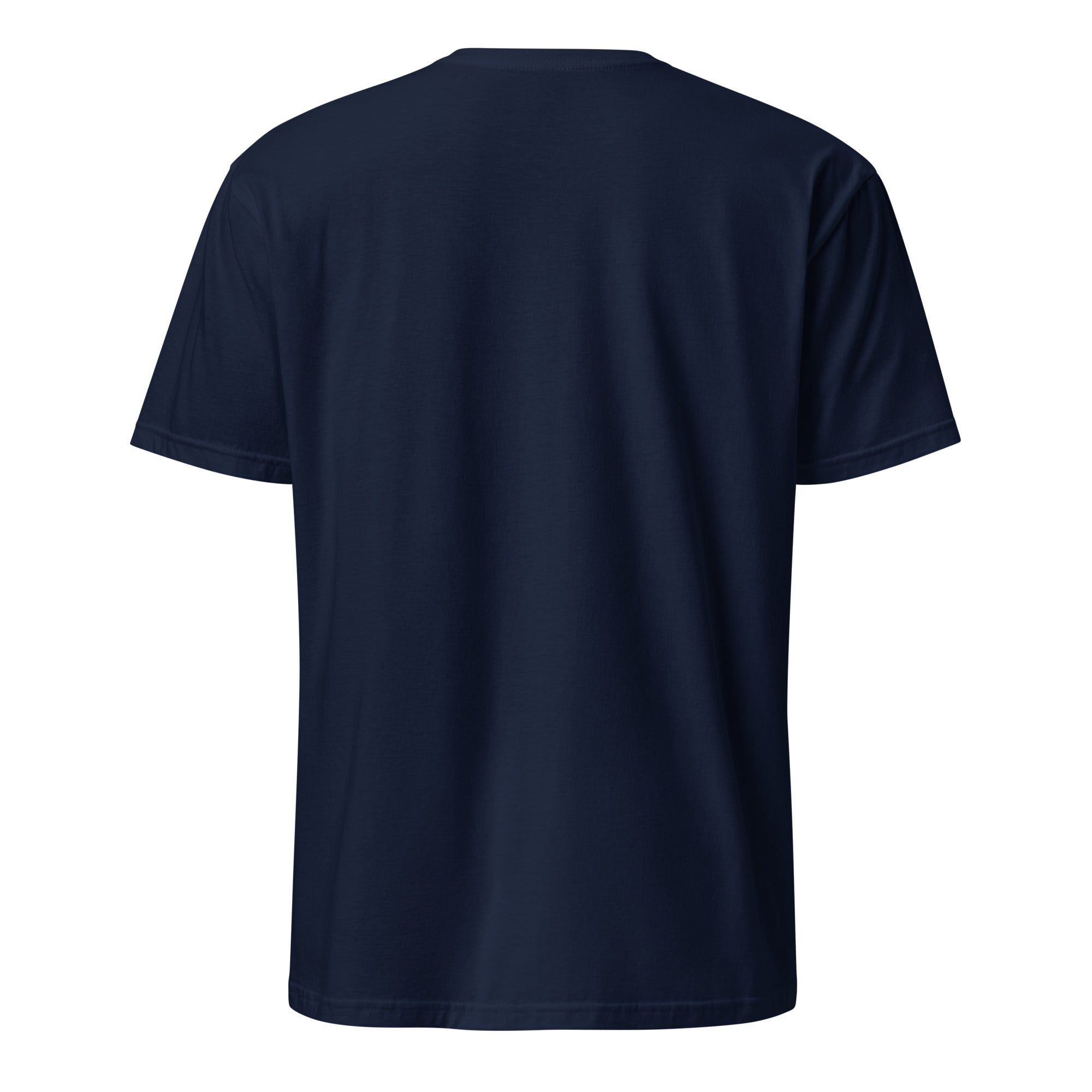 Navy t-shirt back