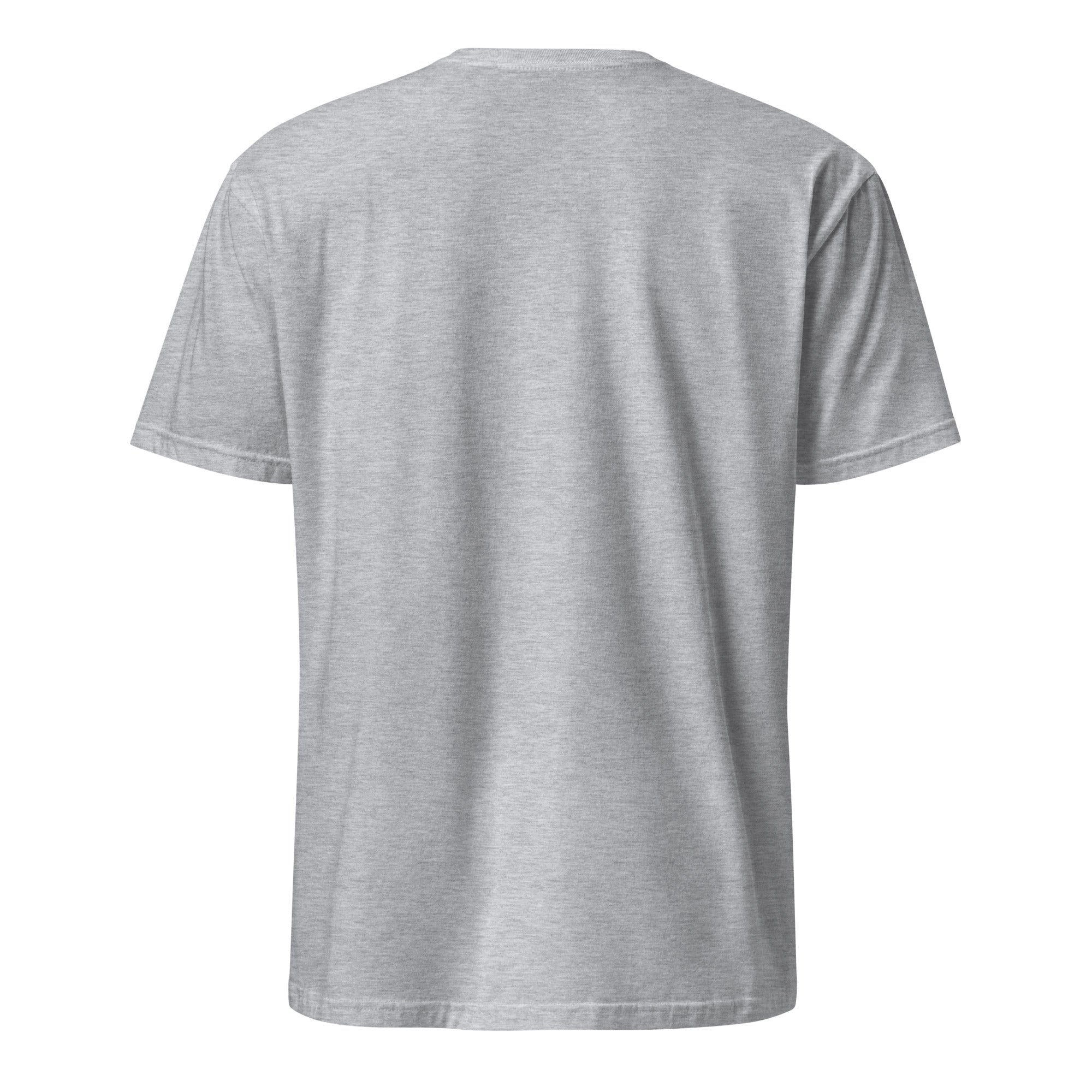 Sport Grey t-shirt back on a white background