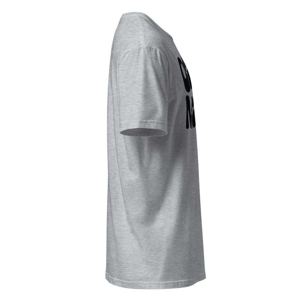 Ash t-shirt right side on a white background