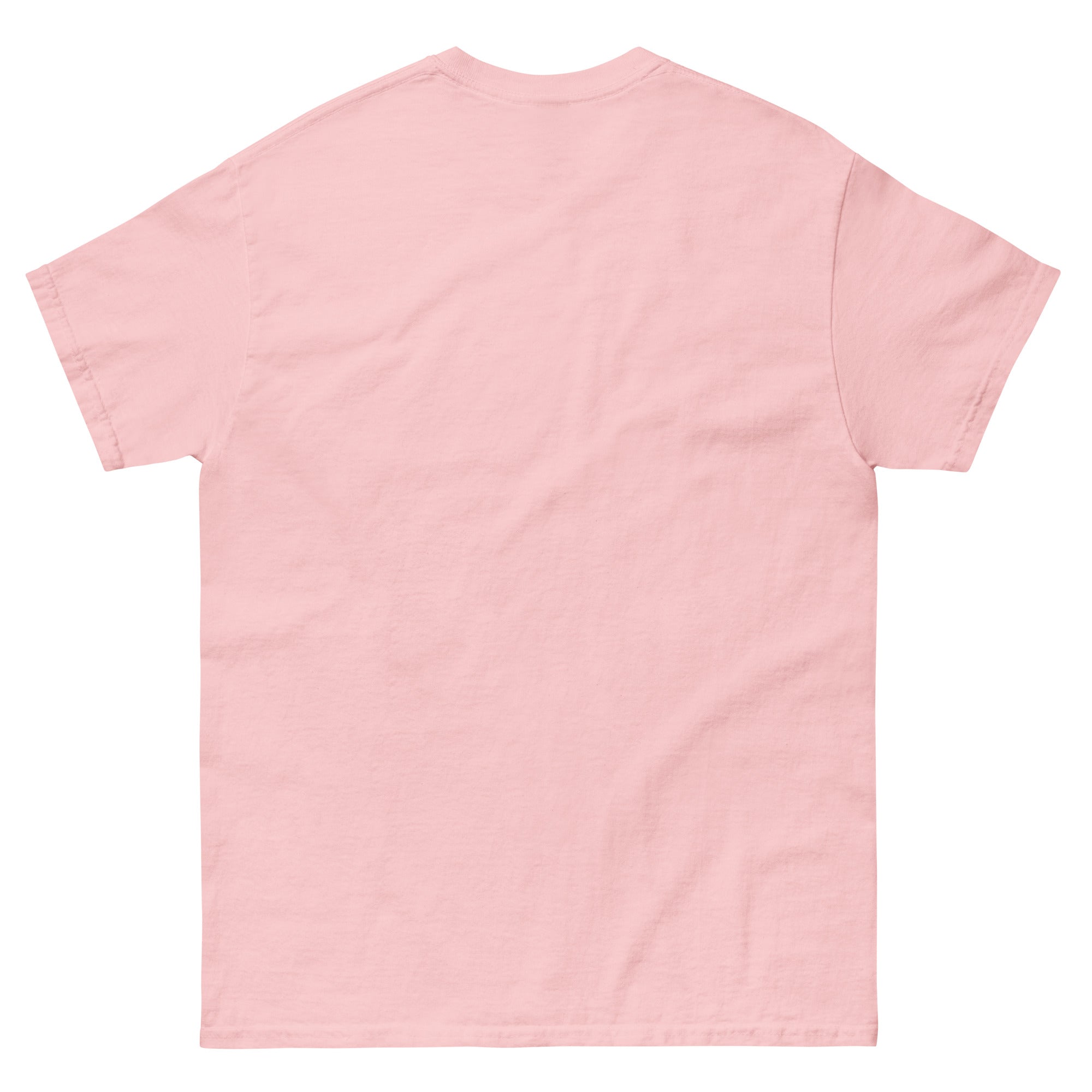 Back view of plain Pink t-shirt on a white background