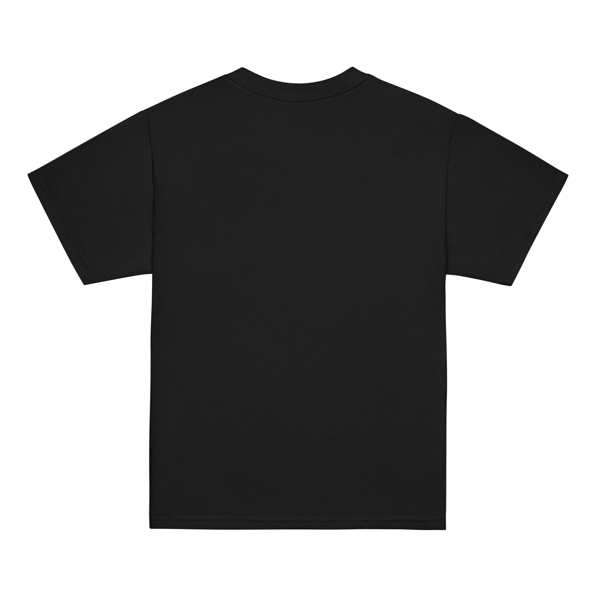 Back view of a black t-shirt on a white background