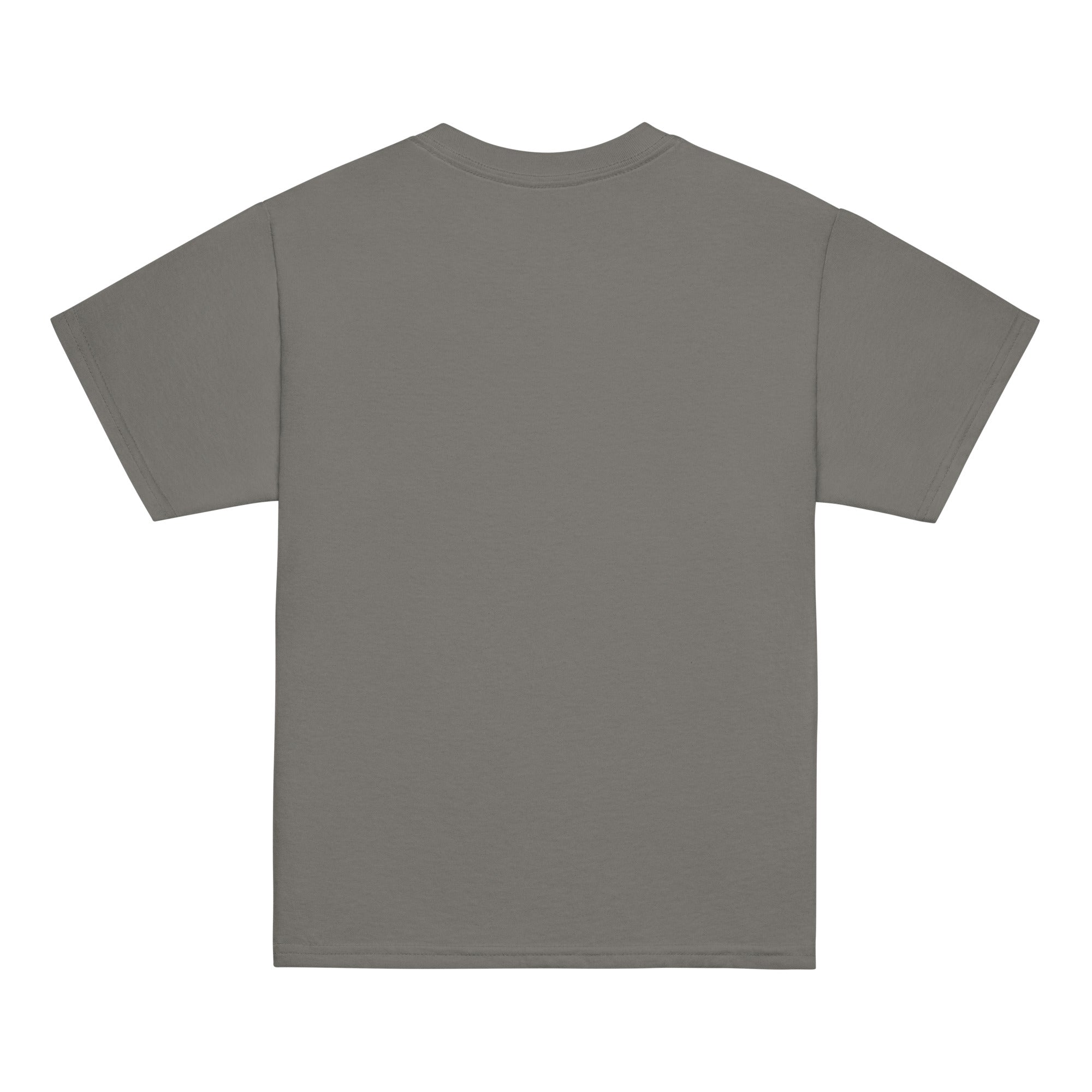 Back view of a Plain charcoal t-shirt on a white background