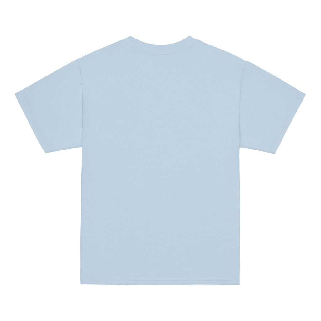 Back view of a light blue t-shirt on a white background